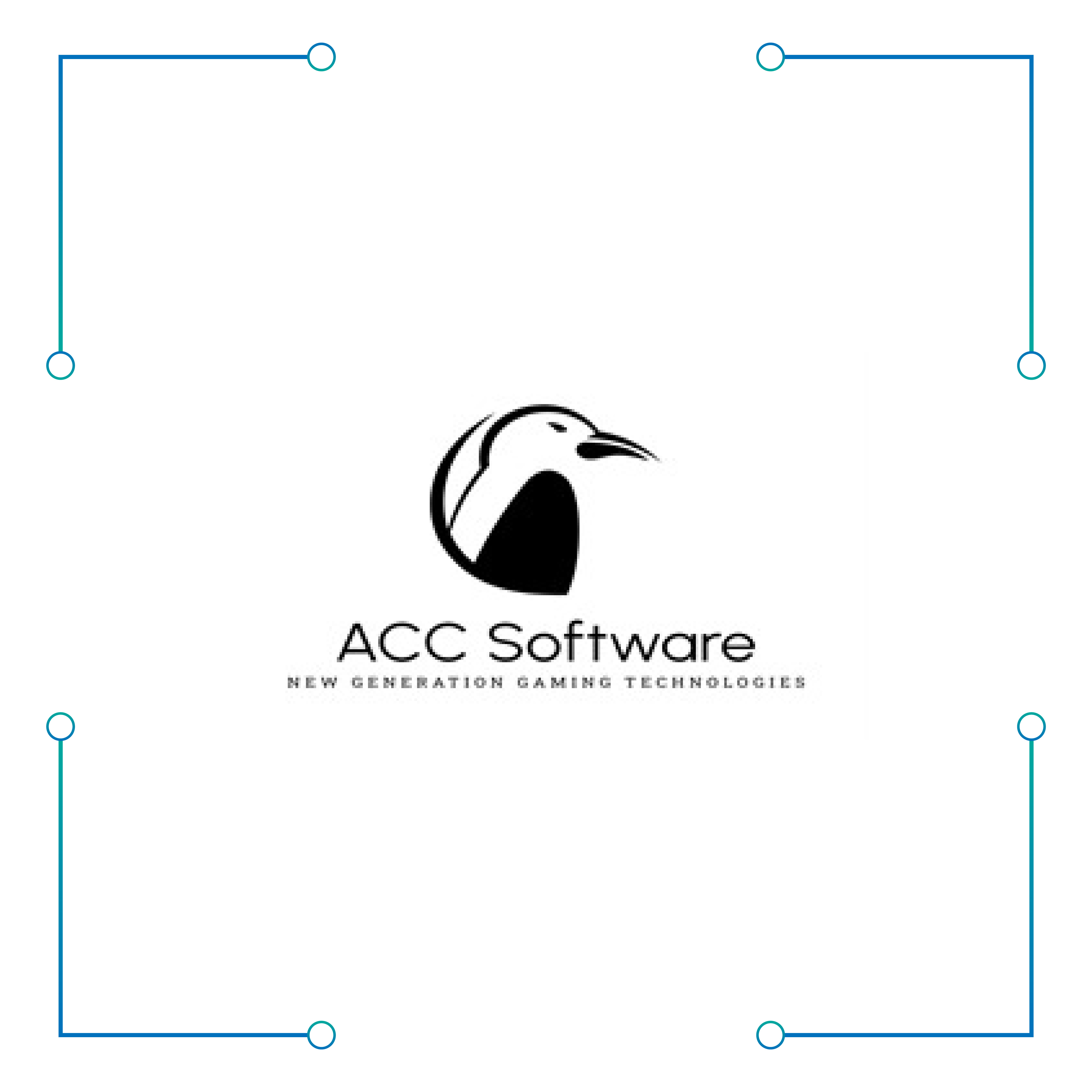 ACC SOFTWARE